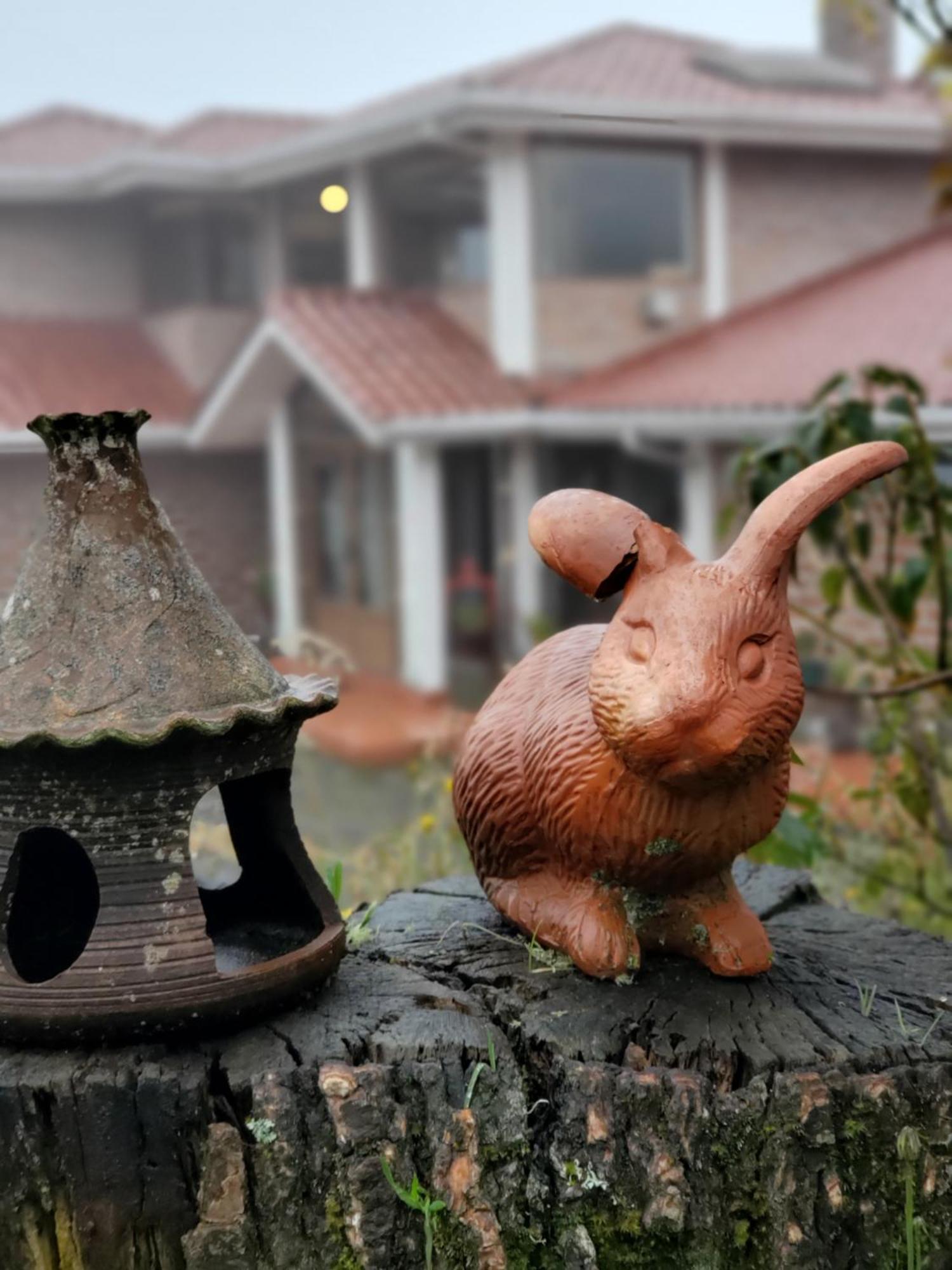 Balcon Al Cotopaxi Hosteria Sangolquí Εξωτερικό φωτογραφία